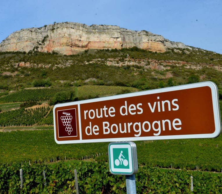 Les Vins de Bourgogne : Un Trésor de Terroir et de Tradition