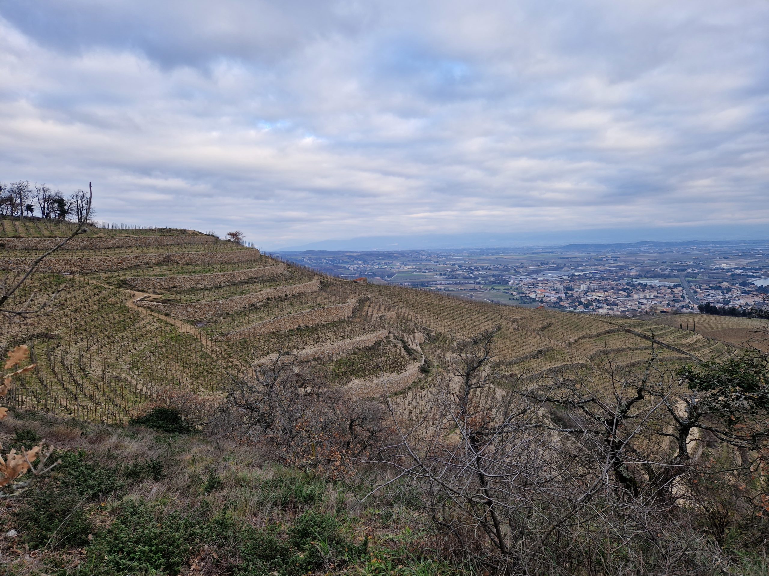 À la découverte des vins du nord de l’Italie