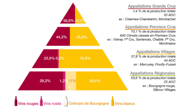 classification vins de bourgogne