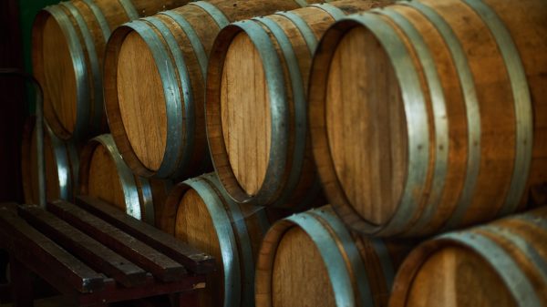 Fûts de chêne dans un chai, l'élevage en barrique expose le vin à l'oxygène